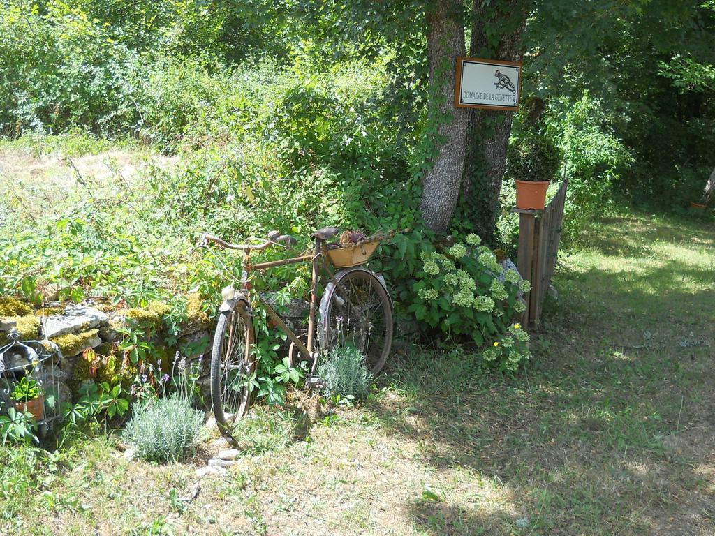 Le Domaine De La Genette Βίλα Paussac-et-Saint-Vivien Εξωτερικό φωτογραφία